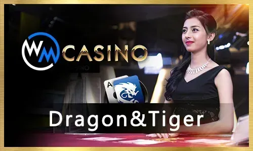 Online Lottery and Bingo